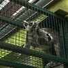 Fotografie 1 - Výlet do ZOO - odměna za vítězství v soutěži &quot;Křížem krážem&quot;