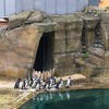 Fotografie 6 - Výlet do ZOO - odměna za vítězství v soutěži &quot;Křížem krážem&quot;