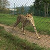 Fotografie 10 - Výlet do ZOO - odměna za vítězství v soutěži &quot;Křížem krážem&quot;