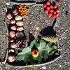 Fotografie 27 - Podzimní tvoření