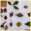 Fotografie 5 - eTwinning: Welcome Autumn