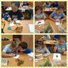 Fotografie 6 - eTwinning: Welcome Autumn