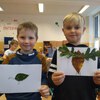 Fotografie 16 - Zvířátka z listů