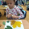 Fotografie 15 - Zvířátka z listů