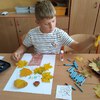 Fotografie 12 - Podzimní strom