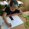 Fotografie 15 - Podzimní strom