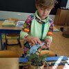 Fotografie 5 - Ošetřování pokojových rostlin
