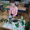 Fotografie 10 - Ošetřování pokojových rostlin