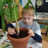 Fotografie 13 - Ošetřování pokojových rostlin