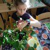 Fotografie 18 - Ošetřování pokojových rostlin