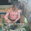 Fotografie 19 - Ošetřování pokojových rostlin