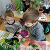 Fotografie 27 - Ošetřování pokojových rostlin