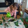Fotografie 29 - Ošetřování pokojových rostlin
