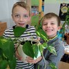 Fotografie 31 - Ošetřování pokojových rostlin