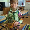 Fotografie 33 - Ošetřování pokojových rostlin