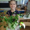 Fotografie 36 - Ošetřování pokojových rostlin