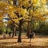 Fotografie 23 - Říjnové aktivity