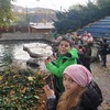 Fotografie 2 - Zoo Ústí nad Labem