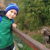 Fotografie 3 - Zoo Ústí nad Labem