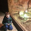 Fotografie 4 - Zoo Ústí nad Labem