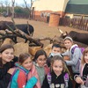 Fotografie 8 - Zoo Ústí nad Labem