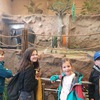 Fotografie 11 - Zoo Ústí nad Labem
