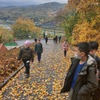 Fotografie 12 - Zoo Ústí nad Labem
