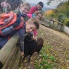 Fotografie 13 - Zoo Ústí nad Labem