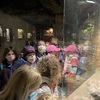 Fotografie 21 - ZOO Ústí nad Labem