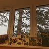 Fotografie 4 - Podzimní tvoření