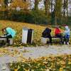 Fotografie 3 - Den stromů