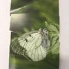 Fotografie 5 - Puzzle