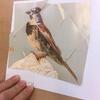 Fotografie 8 - Puzzle