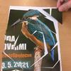 Fotografie 9 - Puzzle