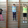 Fotografie 32 - Cvičení na žebřinách a se švihadly
