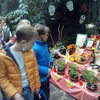Fotografie 6 - Návštěva botanické zahrady
