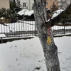 Fotografie 12 - ZIMNÍ TVOŘENÍ