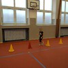 Fotografie 7 - Překážková dráha