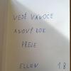 Fotografie 10 - Vánoce v 1. B