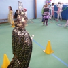 Fotografie 17 - Karneval 1.C