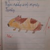 Fotografie 5 - Chlubíme se...