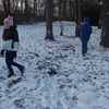 Fotografie 22 - Krmítka pro malé opeřence