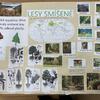 Fotografie 9 - Práce ve skupinách - přírodověda