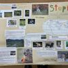 Fotografie 11 - Práce ve skupinách - přírodověda