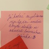 Fotografie 4 - BROUCI V NAŠÍ HLAVĚ