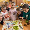 Fotografie 12 - OCHUTNÁVKA EXOTICKÉHO OVOCE