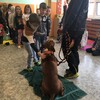 Fotografie 13 - Bezpečný pes