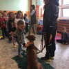 Fotografie 14 - Bezpečný pes