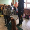 Fotografie 16 - Bezpečný pes