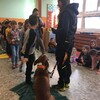 Fotografie 18 - Bezpečný pes